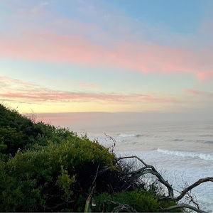 Meet your Posher, Jd